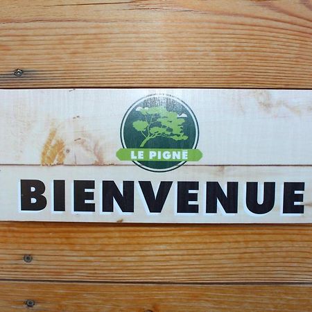 Gite Le Pigne Curbans Экстерьер фото